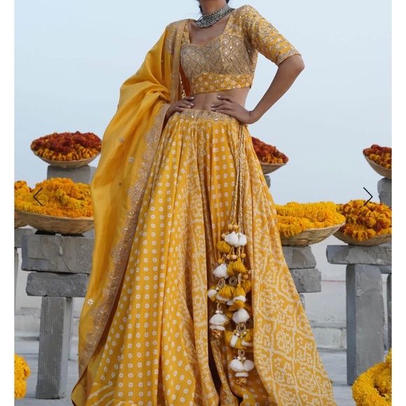 Indian lengha - Picture 2 of 3